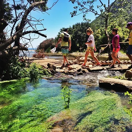 Kadir's Tree 旅馆 奥林巴斯