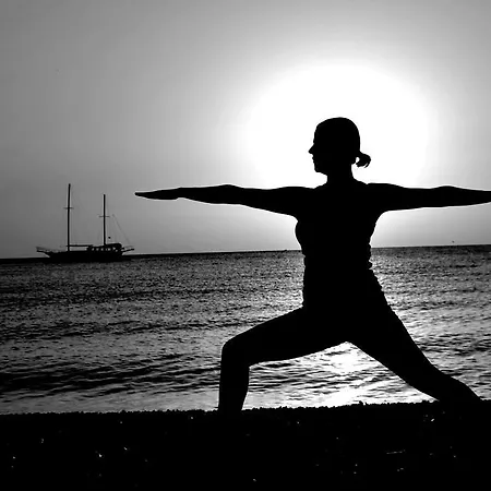 旅馆 Kadir's Tree *