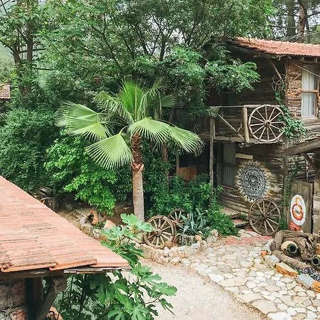 Kadir's Tree 旅馆 奥林巴斯