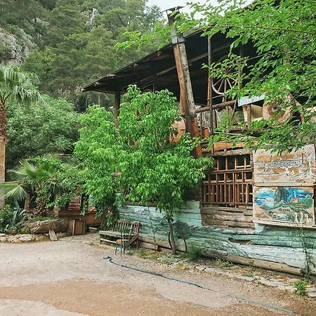 Kadir's Tree * Olympos