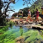Kadir's Tree Hostel Olympos