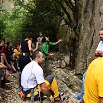 Kadir's Tree *