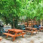 Hostel Kadir's Tree