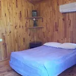 Kadir's Tree Hostel