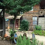 Kadir's Tree * Olympos