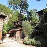Kadir's Tree Hostel