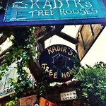 Kadir's Tree *