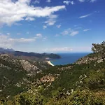 Kadir's Tree Olympos