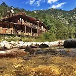 Kadir's Tree * Olympos