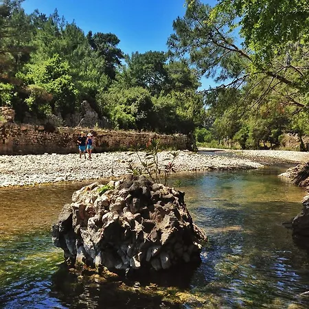 Хостел Kadir's Tree *