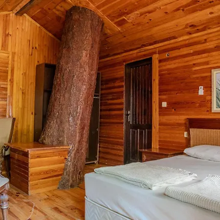 Kadir's Tree Олимпос