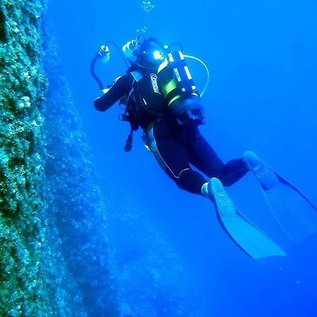 Kadir's Tree Олимпос