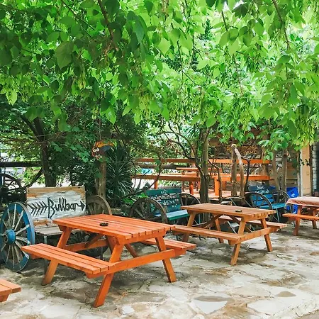 Hostel Kadir's Tree