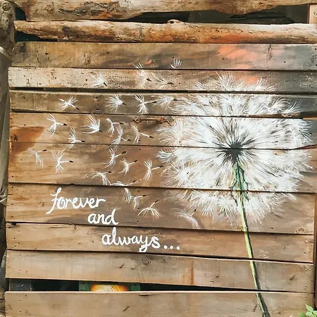 Хостел Kadir's Tree