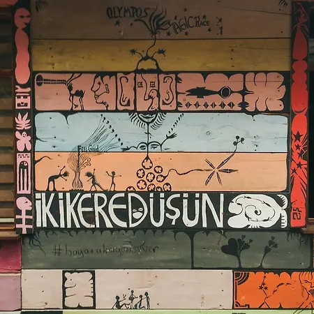 Kadir's Tree Олимпос