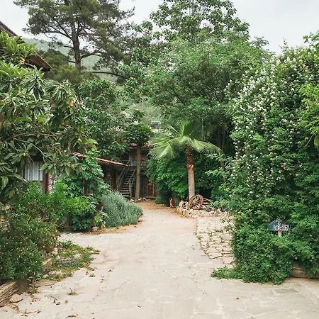 Kadir's Tree Хостел *