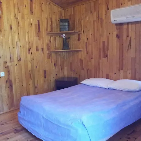 Kadir's Tree Hostel