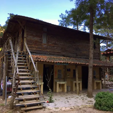 Kadir's Tree Хостел