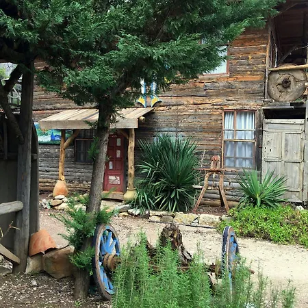 Kadir's Tree * Olympos