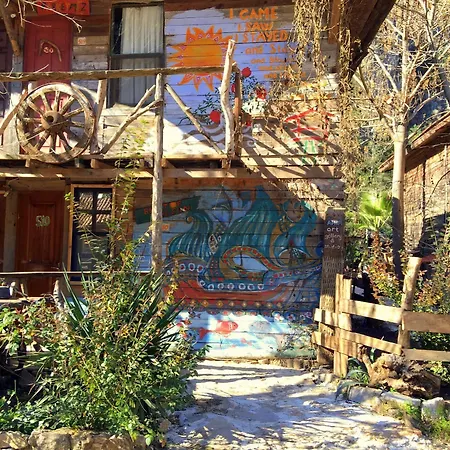 Kadir's Tree * Олимпос