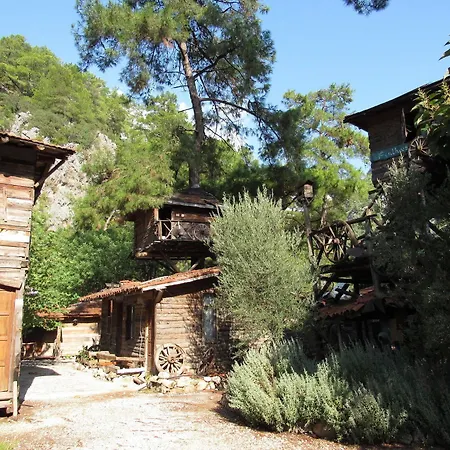 Kadir's Tree Hostel