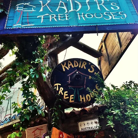 Kadir's Tree *