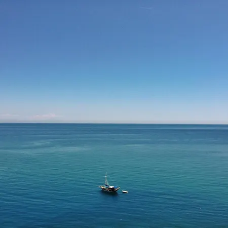 Kadir's Tree * Олимпос