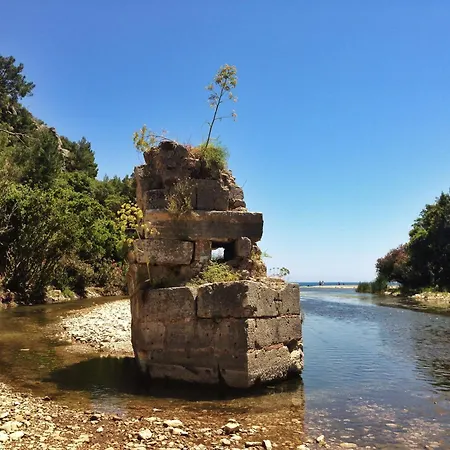 Kadir's Tree Хостел *