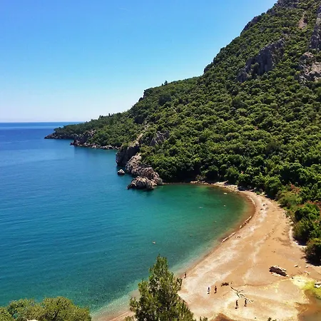 Kadir's Tree Хостел *