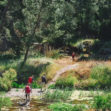 Kadir's Tree Олимпос