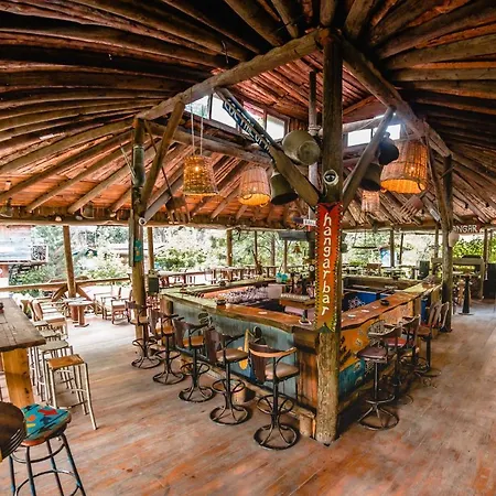Hostel Kadir's Tree Όλυμπος