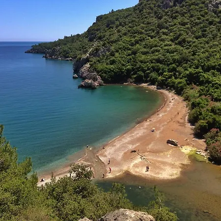 Kadir's Tree Albergue Kemer