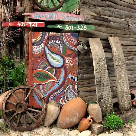 Vandrerhjem Kadir's Tree