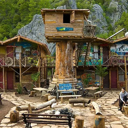 Kadir's Tree Albergue
