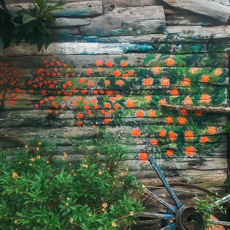 Kadir's Tree Vandrerhjem