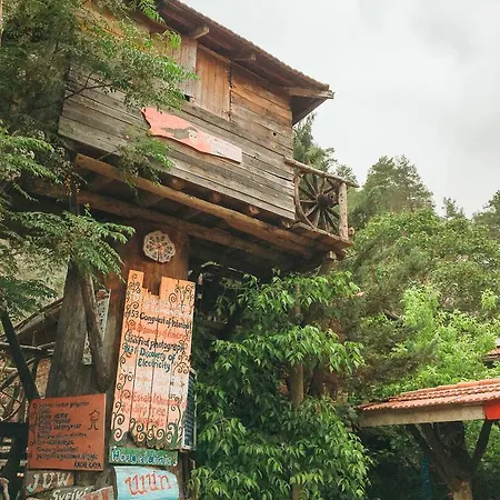 Albergue Kadir's Tree *
