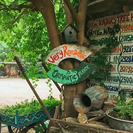 Vandrerhjem Kadir's Tree Olympos