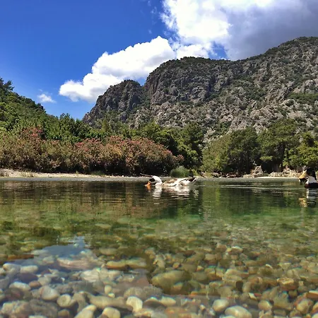 Vandrerhjem Kadir's Tree *