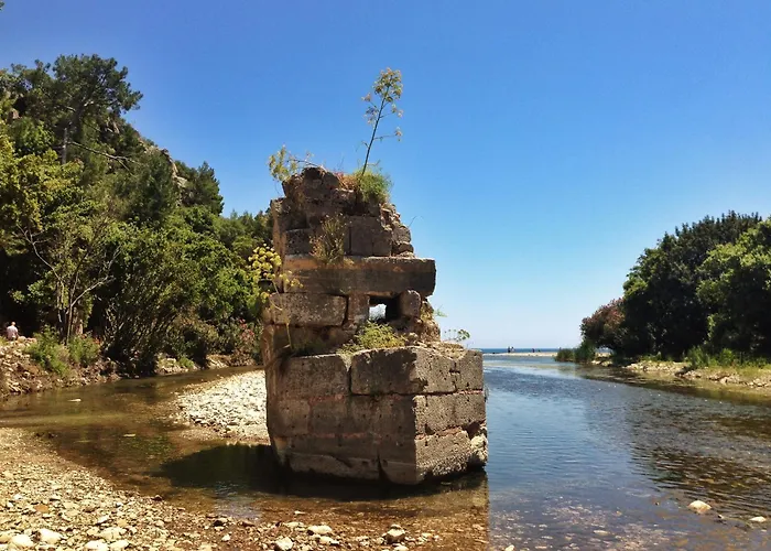 Kadir's Tree Hostel *