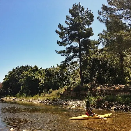 Kadir's Tree * Olympos
