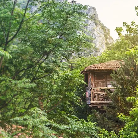 Kadir's Tree Hostel *