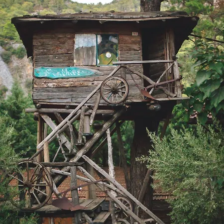 Kadir's Tree Hostel *