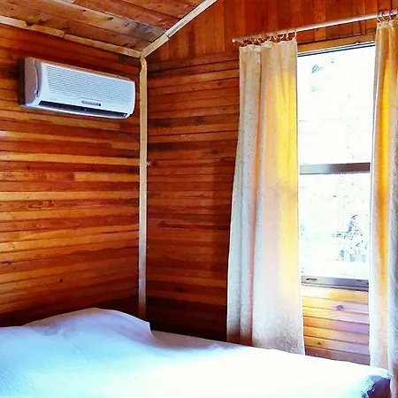 Kadir's Tree Hostel Olympos