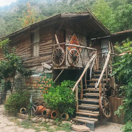 Kadir's Tree Hostel *