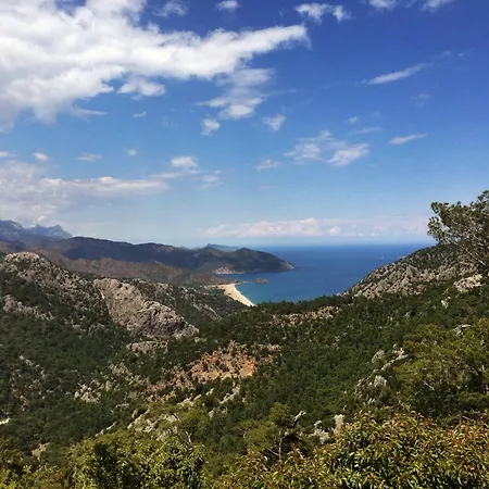 Kadir's Tree Olympos