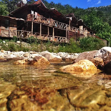 Kadir's Tree Hostel *