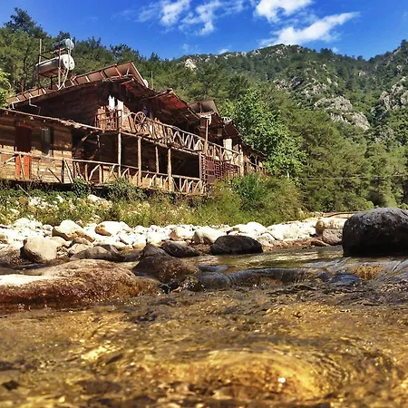Kadir's Tree * Olympos