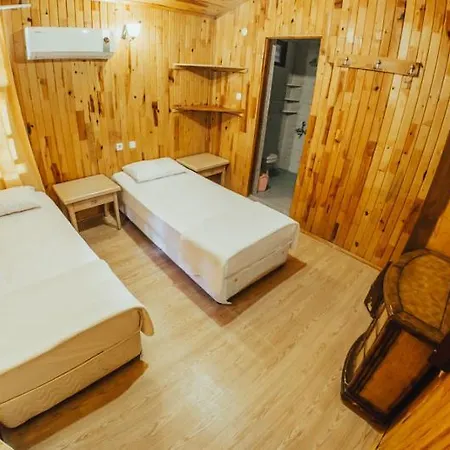 Kadir's Tree Olympos