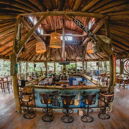 Kadir's Tree Hostel *